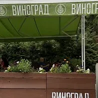 Мебель для винного ресторана Виноград в Селятино